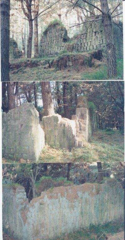 1. Ruine van plaasopstal / Ruins of farm homestead