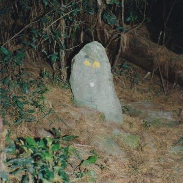 Western Cape, GEORGE district, Bergplaas State Forest_2, old cemetery