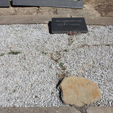 2. Overview FOURIE family