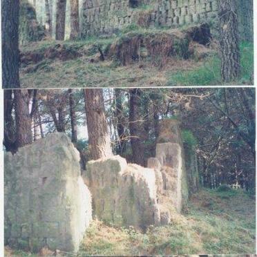 1. Ruine van plaasopstal / Ruins of farm homestead