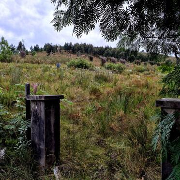 Western Cape, GEORGE district, Bergplaas State Forest_1, farm cemetery