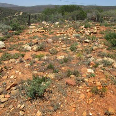 2. Overview of unmarked graves