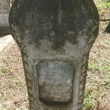 OLIVIER J.J. 1873-1936