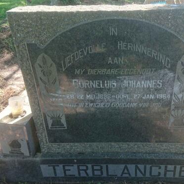 Western Cape, GEORGE district, Geelhoutboom 217, farm cemetery_2