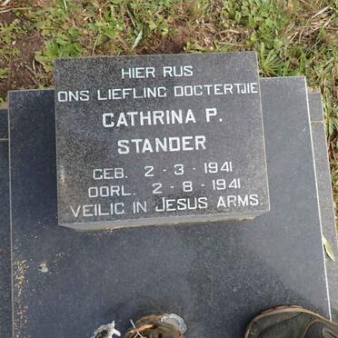 STANDER Cathrina P. 1941-1941