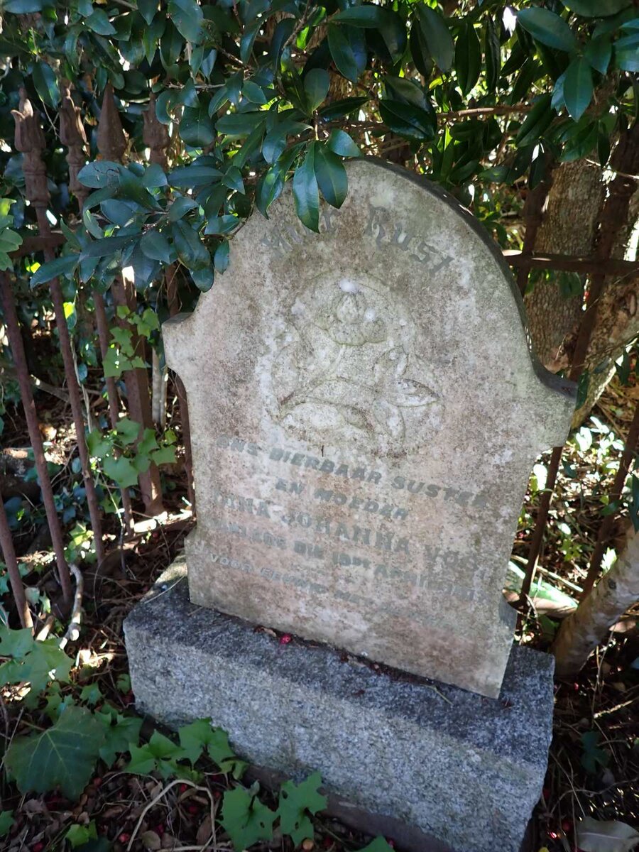 VOS Dina Johanna -1917