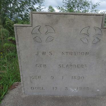 Western Cape, GEORGE district, Jonkersberg Forest Station, cemetery