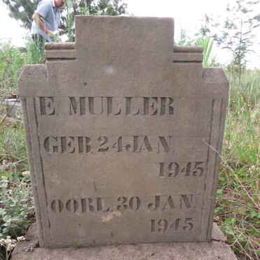 MULLER E. 1945-1945