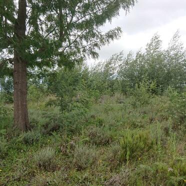 4. Oorsig / Overview