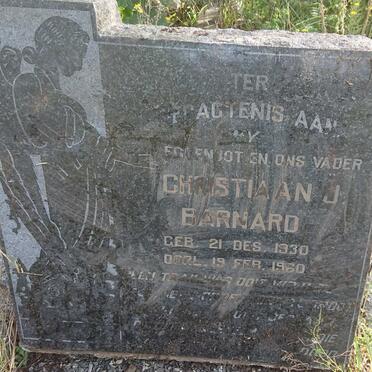 BARNARD Christiaan J. 1930-1960