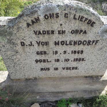 MOLENDORFF D.J., von 1869-1956