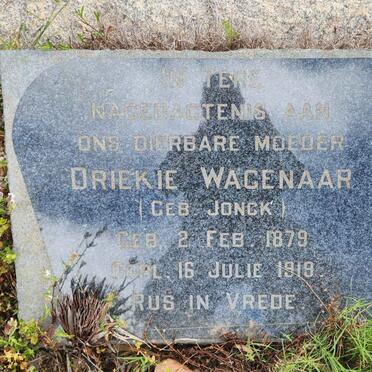 WAGENAAR Driekie nee JONCK 1879-1919