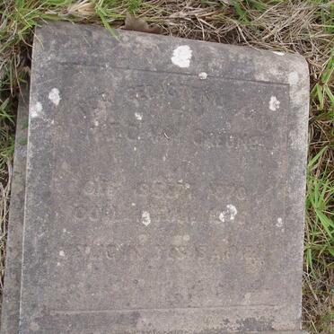 GREUNEN M.J.C., van 1870-1945