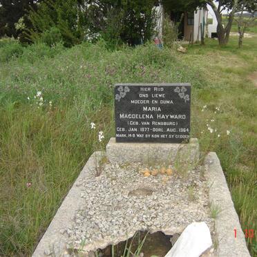 HAYWARD Maria Magdalena nee VAN RENSBURG 1877-1964