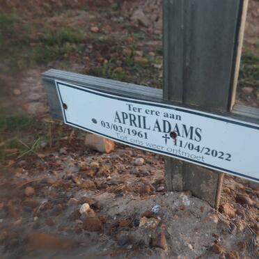 ADAMS April 1961-2022