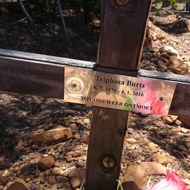 BURTS Triphosa 1975-2016