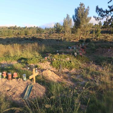 5. Oorsig / Overview