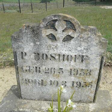 BOSHOFF P. 1953-1955