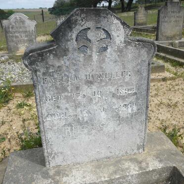 MULLER Engela H. 1894-1959