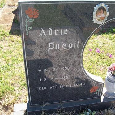 TOIT Adrie, du 1958-1985