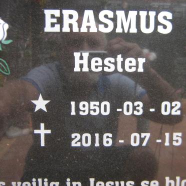 ERASMUS Hester 1950-2016