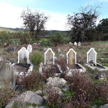 6. ENGEL Family graves overview