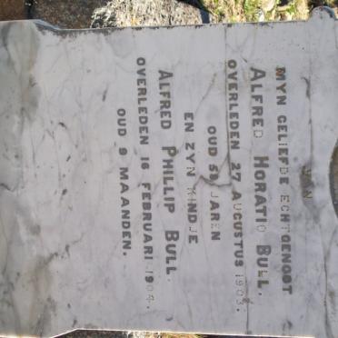 BULL Alfred Horatio -1903 :: BULL Alfred Phillip -1904