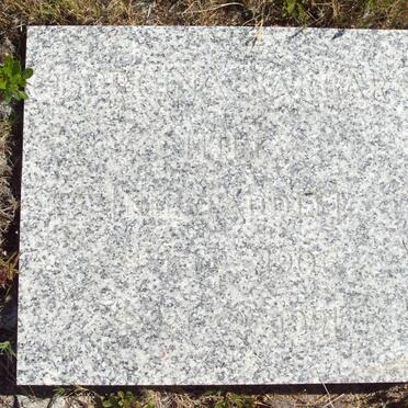 HILL Georgina Barbara nee ? 1906-1991