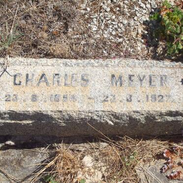 MEYER Charles 1854-1927