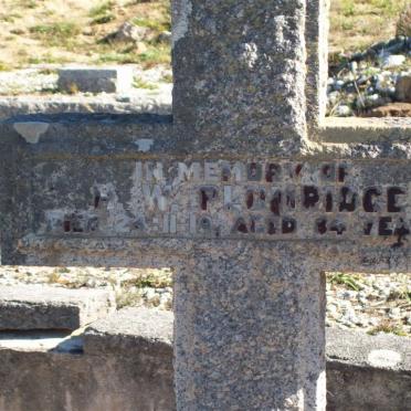 PLUMRIDGE H.W. -1919