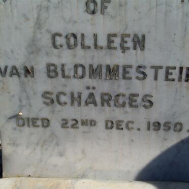 SCHARGES Colleen VAN BLOMMESTEIN