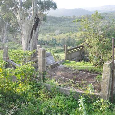 Western Cape, HEIDELBERG district, Spiegel Rivier 246, Spiegelsrivier, farm cemetery