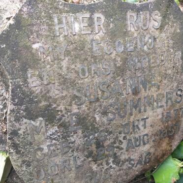 Western Cape, HEIDELBERG district, The Grootvadersbosch Estate 114_1, farm cemetery