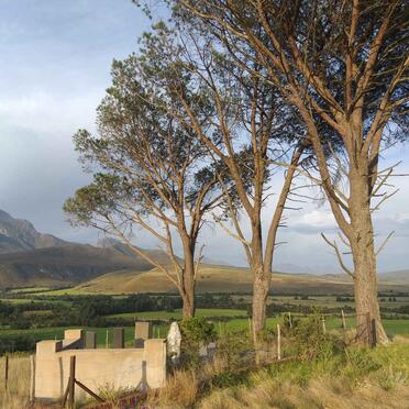 1. Overview / Oorsig