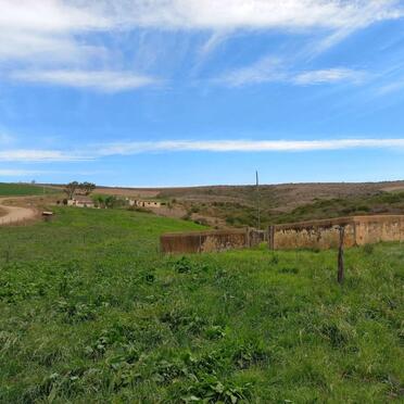 Western Cape, HEIDELBERG district, Heidelberg, Diepkloof 521, farm cemetery