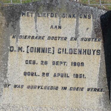 GILDENHUYS D.M. 1909-1951