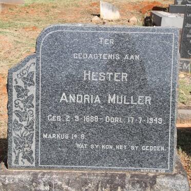 MULLER Hester Andria 1888-1949