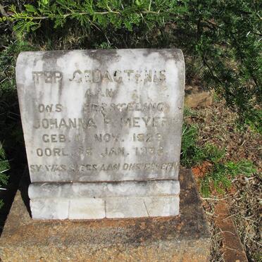 MEYER Johanna P. 1929-1938