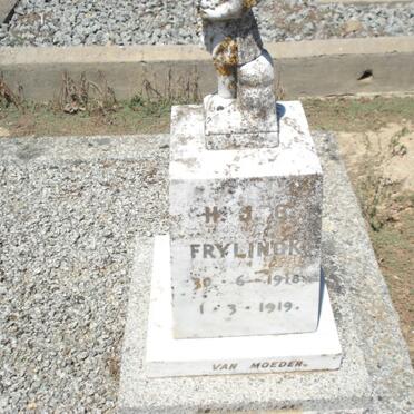 FRYLINCK H.J.G. 1918-1919