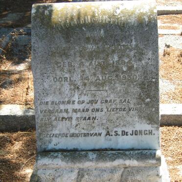 JONGH ?, de 1894-1930