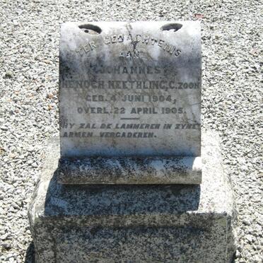 NEETHLING Johannes Henoch 1904-1905