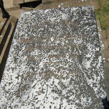 STIGLING Marthinus J. 1872-1910