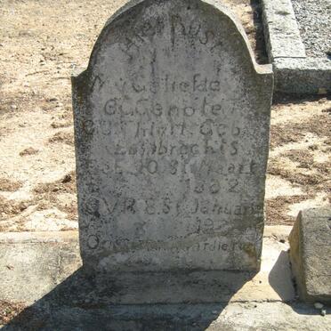 THIART ? nee ENGELBRECHT 18?2-19??