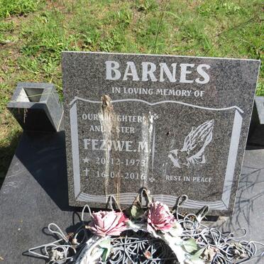 BARNES Feziwe M. 1973-2016