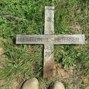 PIETERSEN Llewellyn L. -2016