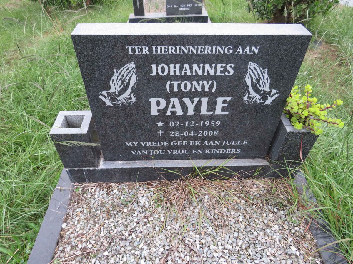 PAYLE Johannes 1959-2008