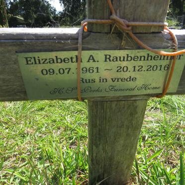 RAUBENHEIMER Elizabeth A. 1961-2016