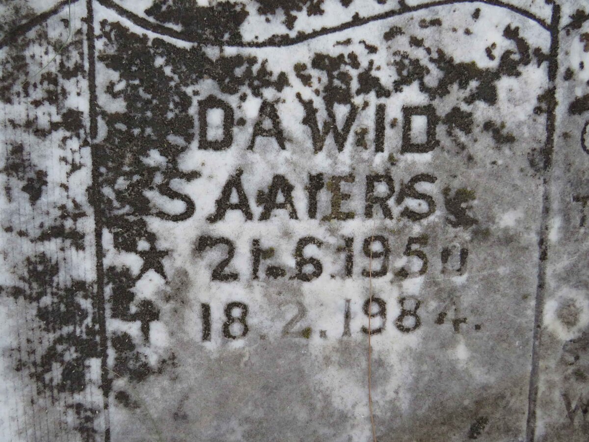 SAAIERS DAWID 1950-1984