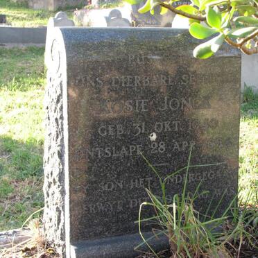 JONGE Kosie 1940-1964