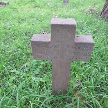 W - Surnames :: Vanne - W